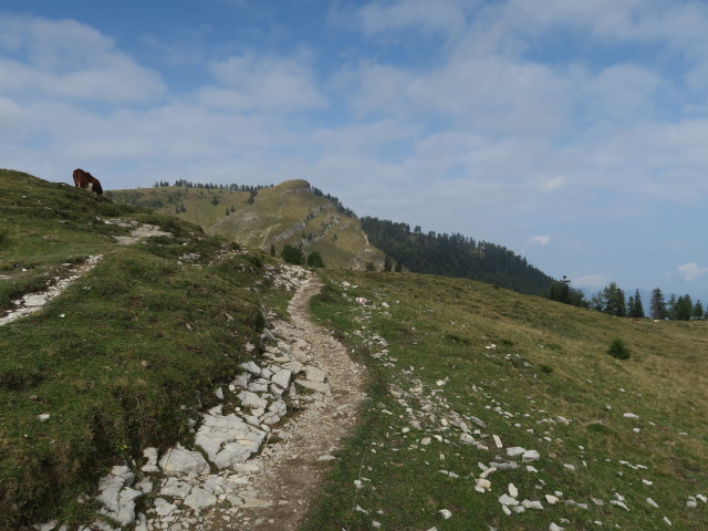 Weg 20 zwischen Wieslerhorn und Erlbachhütte (23. Sep.)