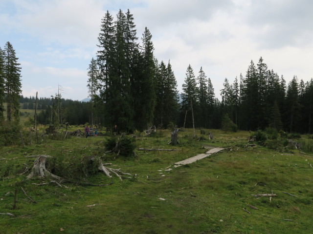 Weg R2 zwischen Huberhütte und Lienbachhütte (23. Sep.)