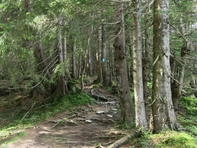 Weg R2 zwischen Huberhütte und Lienbachhütte (23. Sep.)