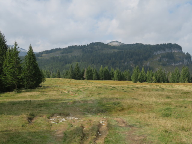 Weg R2 zwischen Huberhütte und Lienbachhütte (23. Sep.)