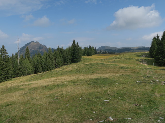 Weg R2 zwischen Huberhütte und Lienbachhütte (23. Sep.)