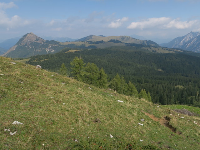 neben Weg 150 zwischen Lienbachhütte und Labenberg (23. Sep.)