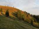 zwischen Wetzlerhütte und Thorhöhe (23. Sep.)