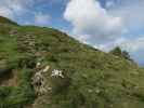 Weg 150 zwischen Lienbachhütte und Labenberg (23. Sep.)