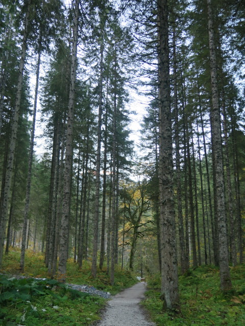 Weg 17 zwischen Jägersee und Gersbachgraben