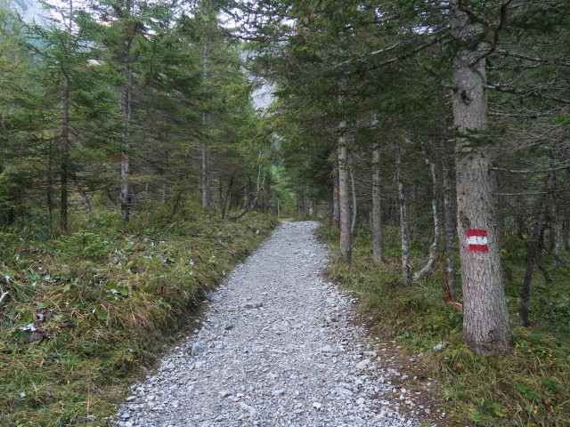 Weg 17 zwischen Schwabalm und Tappenkarsee