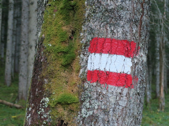 Weg 17 zwischen Schwabalm und Tappenkarsee