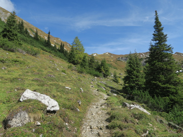 Salzburger Almenweg zwischen Draugsteintörl und Filzmoossattel