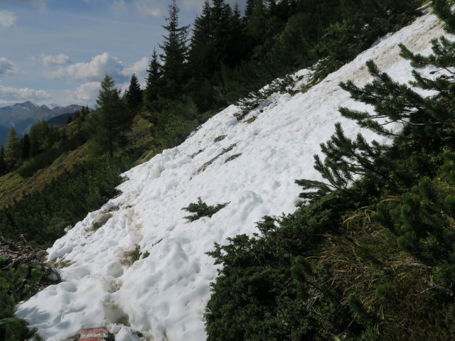 Salzburger Almenweg zwischen Draugsteintörl und Filzmoossattel