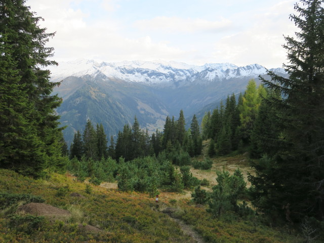 Goldgräberweg zwischen Hungeregg und Hüttschlag