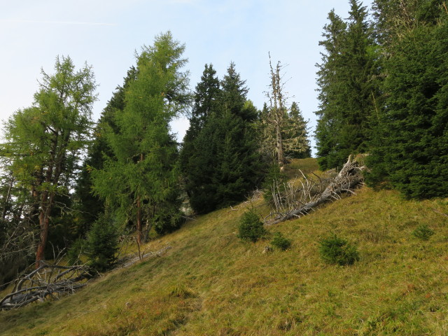 Goldgräberweg zwischen Hungeregg und Hüttschlag