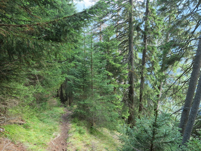 Goldgräberweg zwischen Hungeregg und Hüttschlag