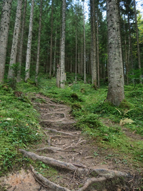 Bibelsteig zwischen Ramsau und Iglmoosalm (29. Sep.)