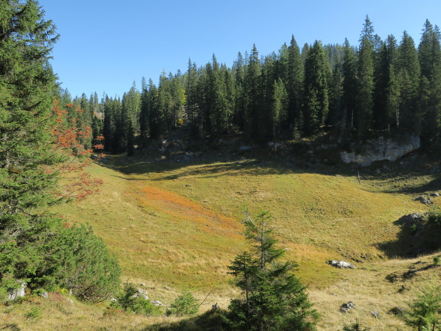 neben Weg 42 zwischen Wiesalm und Rußbergtörl (30. Sep.)