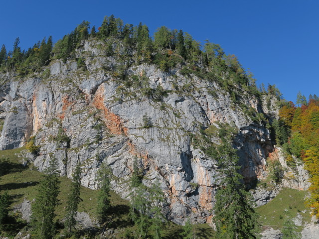 neben der Hohen Knallalm (30. Sep.)