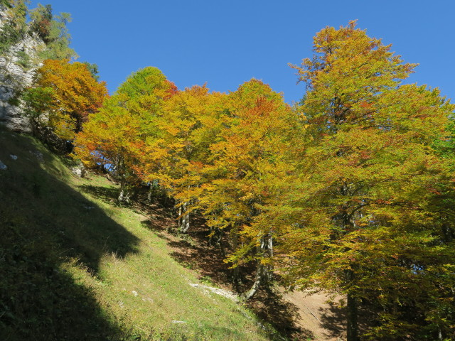 zwischen Hoher Knallalm und Großem Brettkogel (30. Sep.)