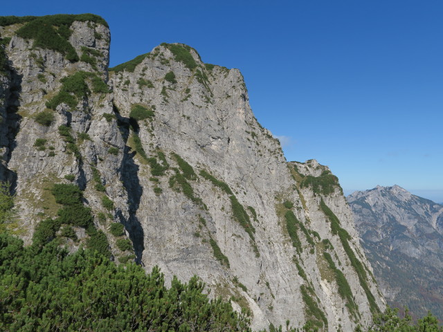 Wilder Jäger vom Großen Brettkogel aus (30. Sep.)