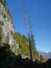 zwischen Rußbergtörl und Hoher Knallalm (30. Sep.)