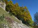 zwischen Hoher Knallalm und Großem Brettkogel (30. Sep.)