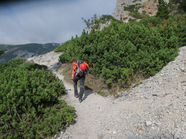 Carmen am Holzknechtsteig zwischen Bachingerbr&uuml;ndl und Haid-Klettersteig