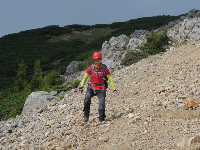 Carmen am Holzknechtsteig zwischen Schr&ouml;ckenfuchskreuz und Haid-Klettersteig