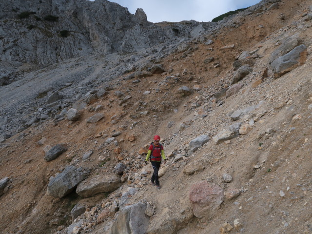 Carmen am Holzknechtsteig zwischen Schr&ouml;ckenfuchskreuz und Haid-Klettersteig