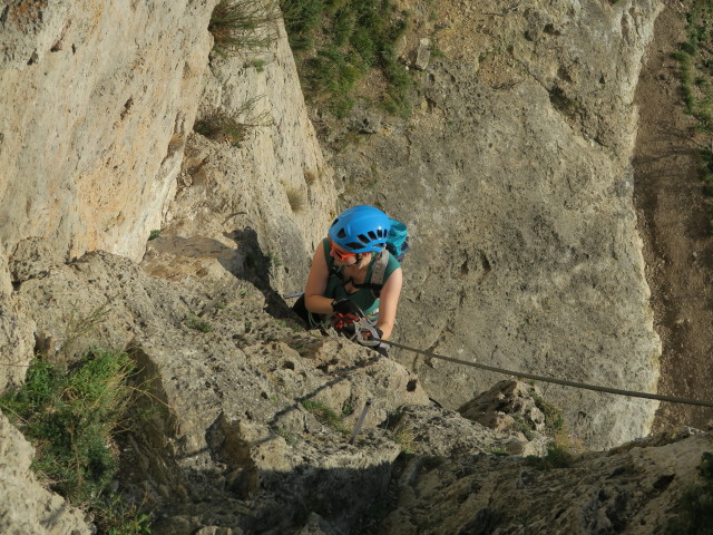 Pittentaler Klettersteig: Sabine zwischen Steigbaum und erster Querung