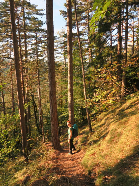 Sabine zwischen Türkensturz und Pitten