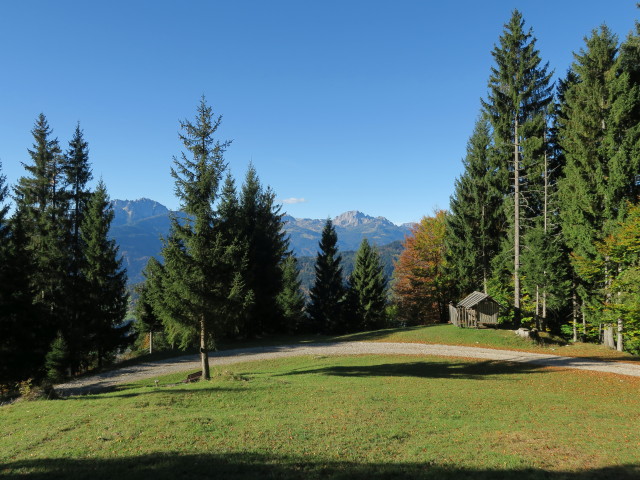 Weg 246 zwischen Radniger M&uuml;hle und Radniger Sattel