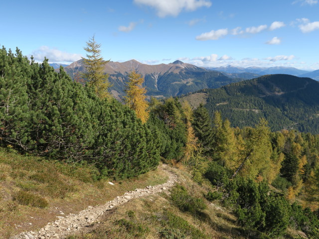 Weg 229 zwischen Radniger Sattel und Golz