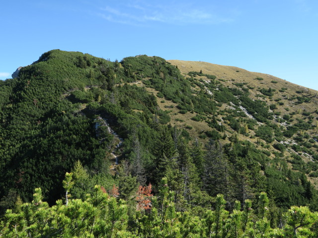 Weg 229 zwischen Golz und Sattelköpfe