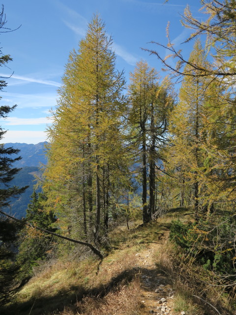 Weg 229 zwischen Golz und Sattelk&ouml;pfe