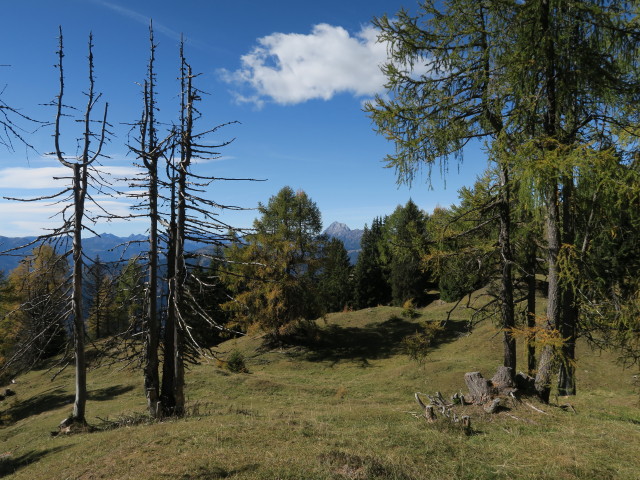 bei den Sattelk&ouml;pfen