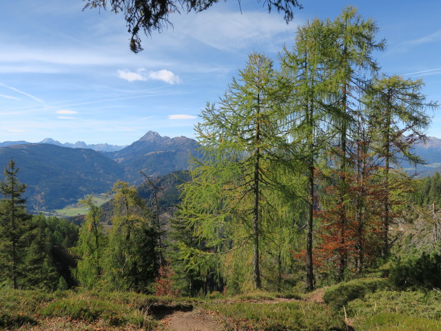 Weg 262 am Gei&szlig;r&uuml;cken