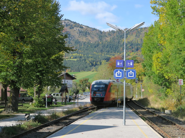 Bahnhof Gr&uuml;nbach am Schneeberg, 557 m
