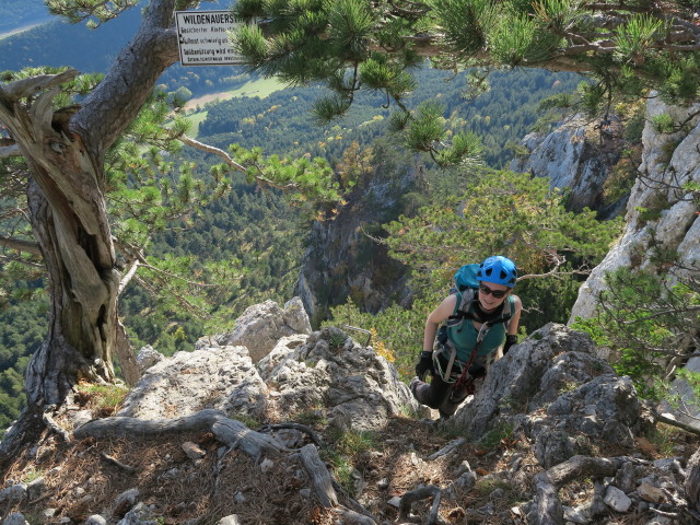 Wildenauer-Klettersteig: Sabine im Ausstieg