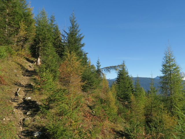 Weg 75 zwischen Kohlgraben und Wirtshaus Sattelgut (14. Okt.)