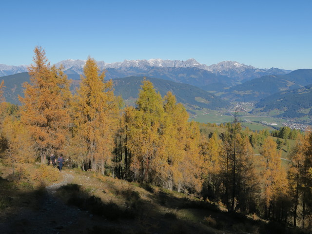 Salzburger Almenweg zwischen Lackensattel und Lackenkogel (14. Okt.)