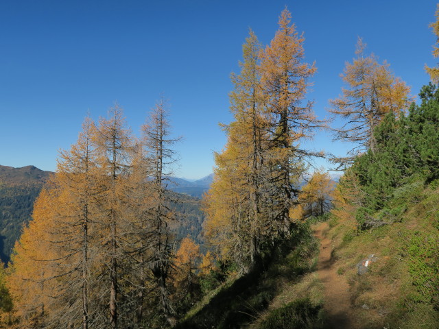 Salzburger Almenweg zwischen Lackensattel und Lackenkogel (14. Okt.)
