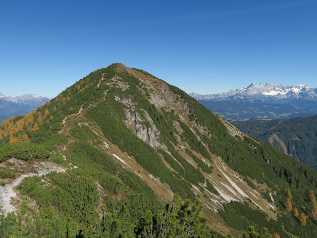 Lackenkogel (14. Okt.)