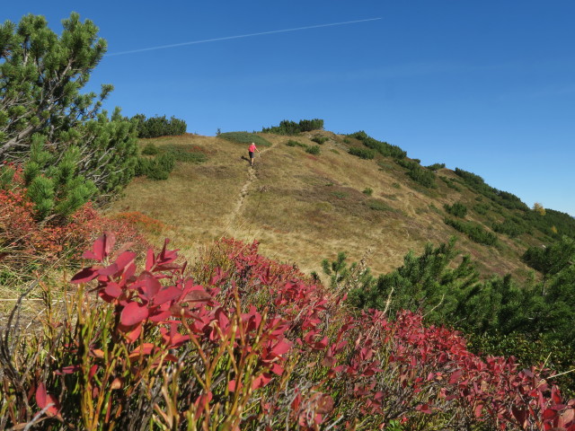 Salzburger Almenweg zwischen Lackenkogel und Hinterkogel (14. Okt.)
