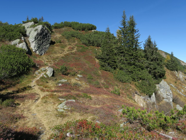 Salzburger Almenweg zwischen Lackenkogel und Hinterkogel (14. Okt.)