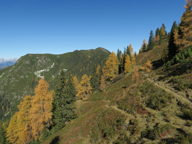 Salzburger Almenweg zwischen Lackenkogel und Hinterkogel (14. Okt.)