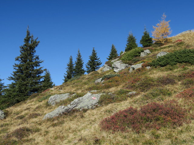Weg 73 zwischen Rosskopf und H&ouml;chkessel (14. Okt.)