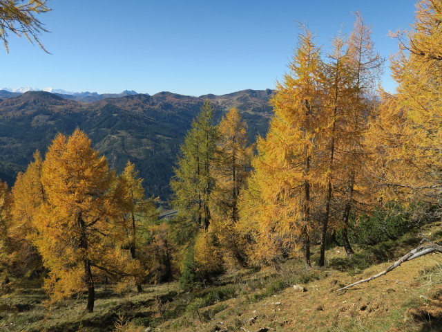neben Weg 73 zwischen Rosskopf und H&ouml;chkessel (14. Okt.)