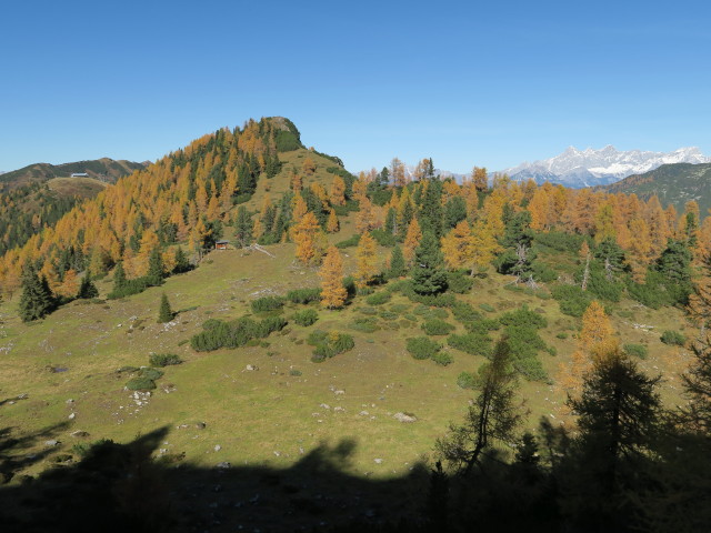 Hirschk&ouml;pfl (14. Okt.)