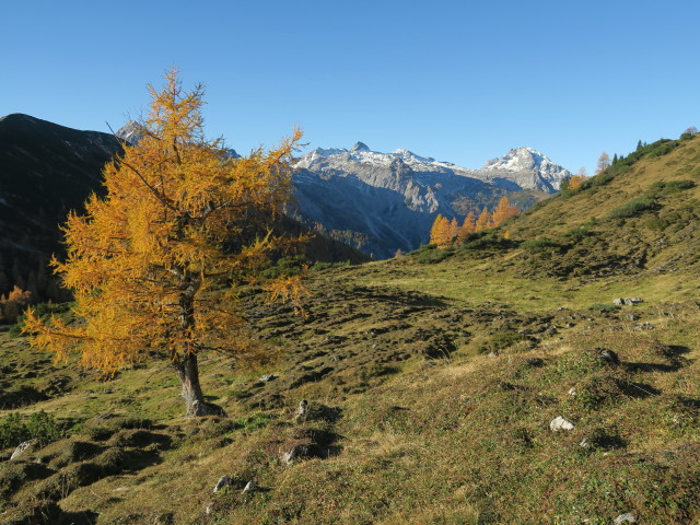 Weg 26 zwischen Hafeichtscharte und B&auml;renstaffl (15. Okt.)