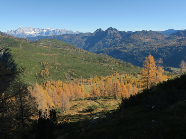 Weg 73 zwischen B&auml;renstaffl und Stubh&ouml;he (15. Okt.)