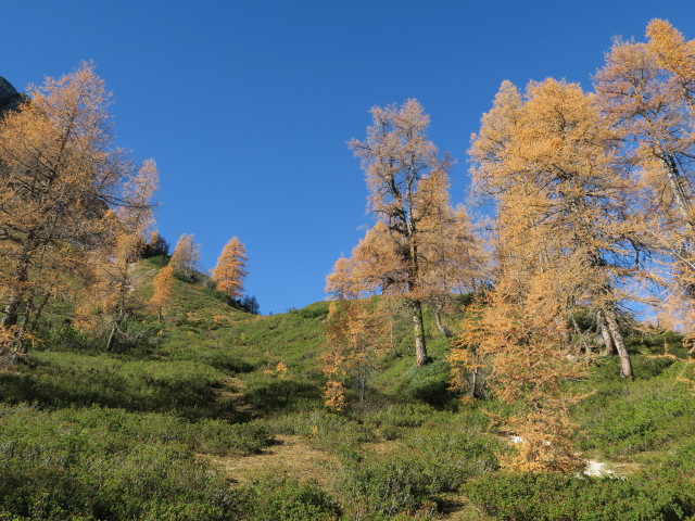 Weg 73 zwischen B&auml;renstaffl und Stubh&ouml;he (15. Okt.)