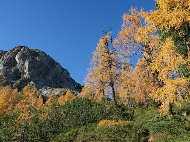 Weg 73 zwischen B&auml;renstaffl und Stubh&ouml;he (15. Okt.)